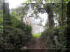 House Pictures by Michael 2003 IMG_1539 (6).JPG (1089053 bytes)